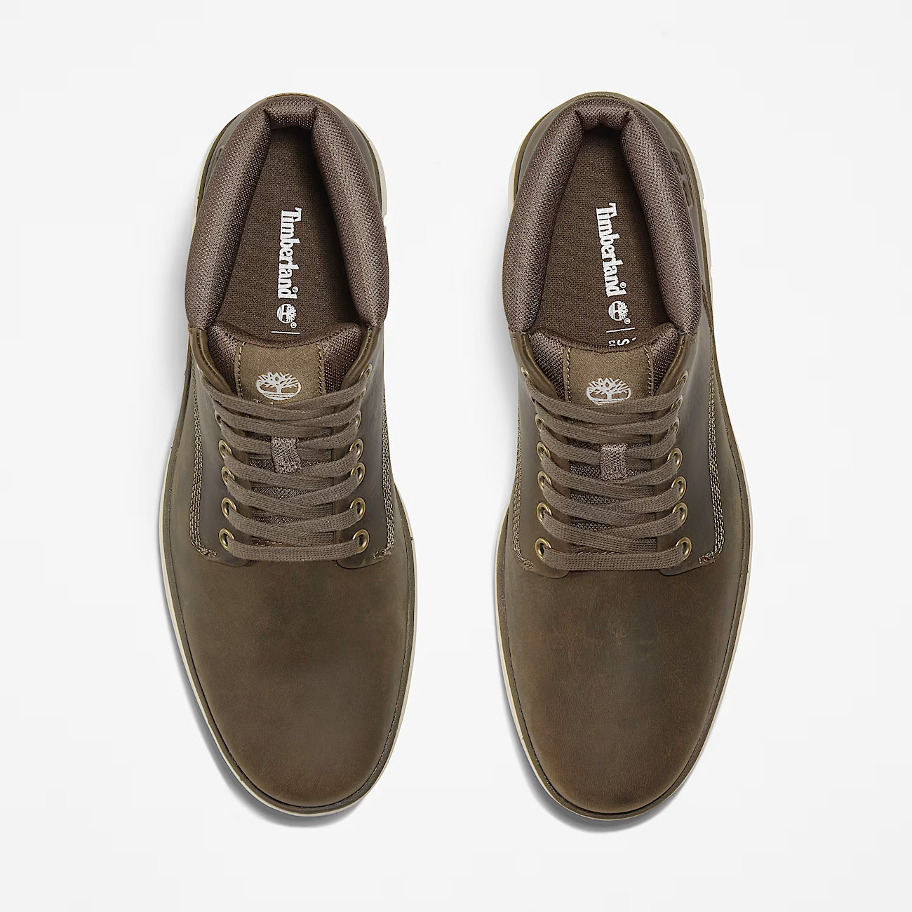 TIMBERLAND - Basket BRADSTREET CHUKKA - Olive