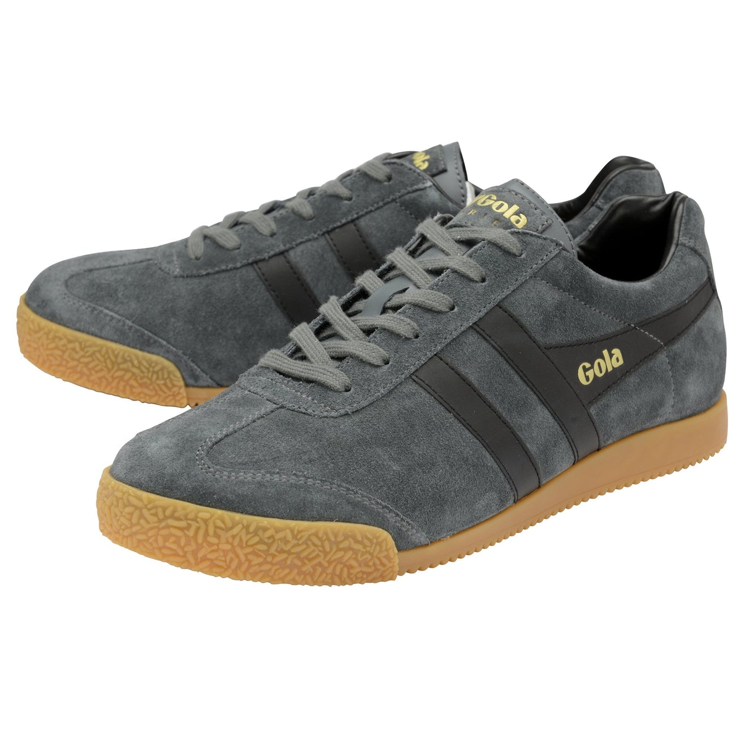 GOLA - Basket HARRIER - Daim - Graphite/Black