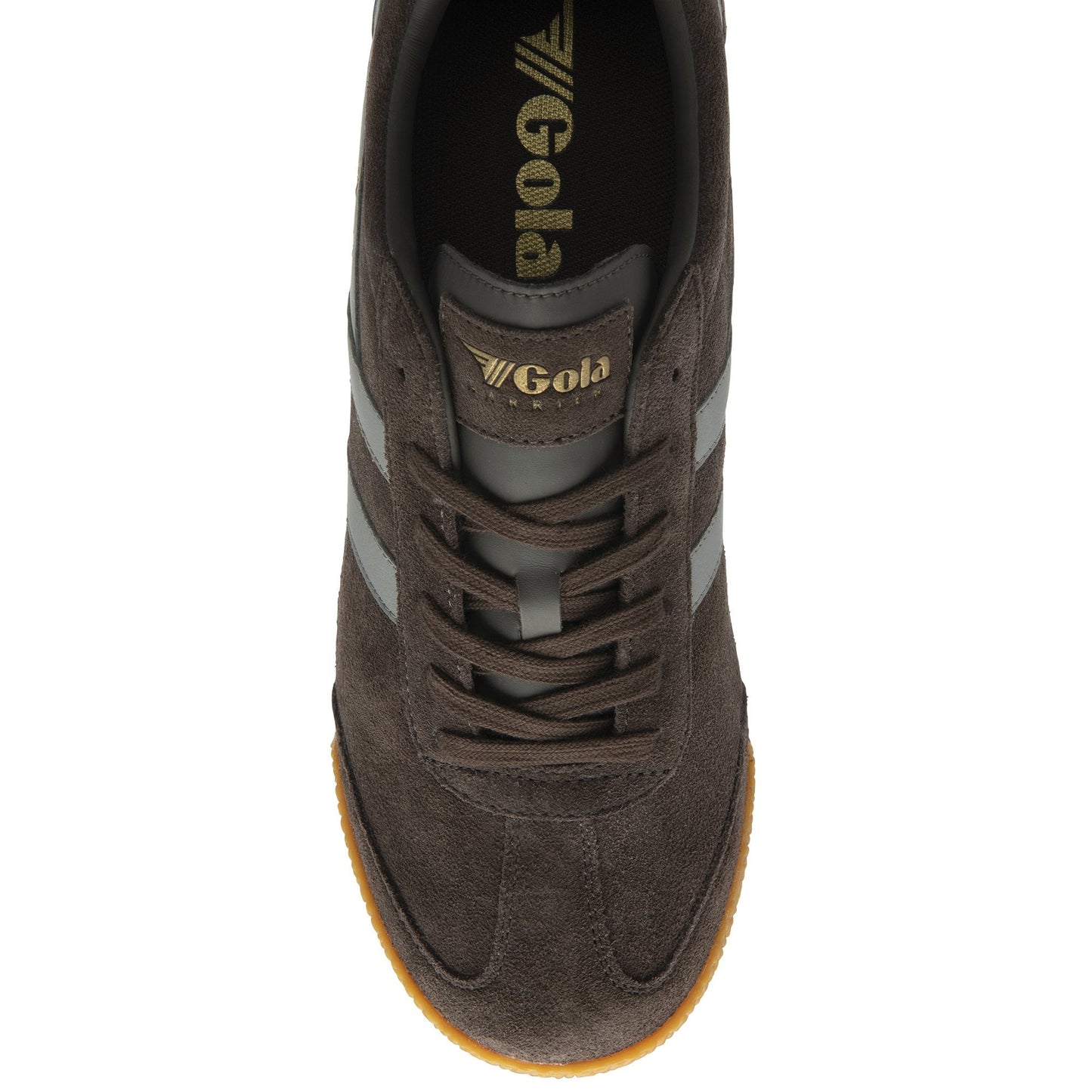 GOLA - Basket HARRIER - Daim - Mocha/Cement