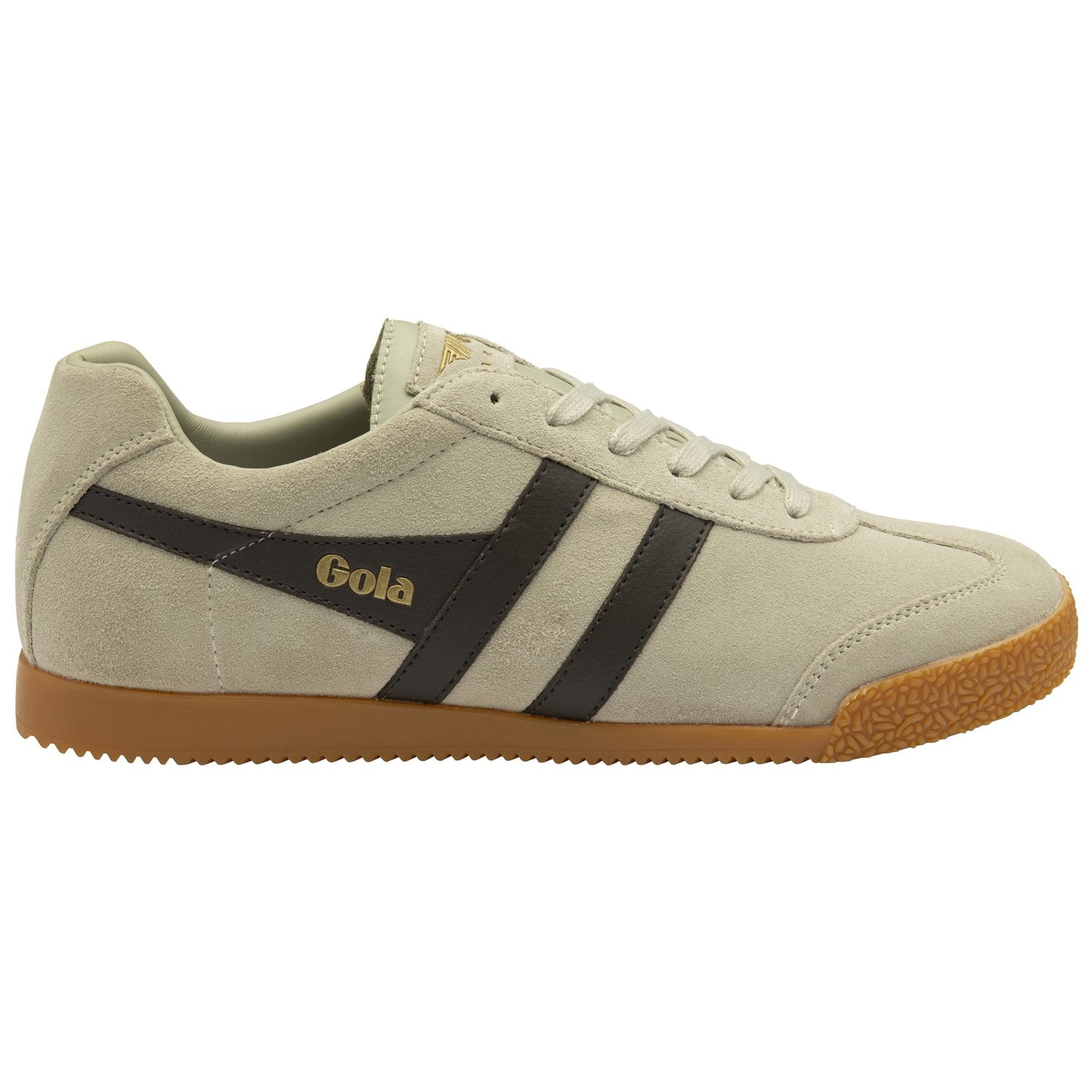 GOLA - Basket HARRIER - Daim - Wheat/Dark brown