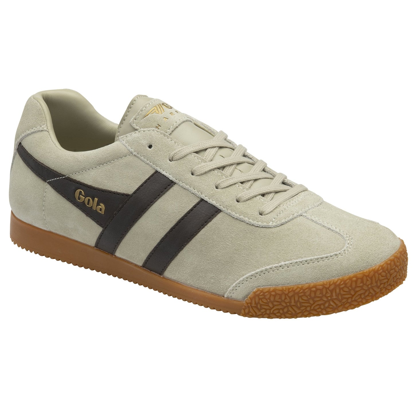 GOLA - Basket HARRIER - Daim - Wheat/Dark brown