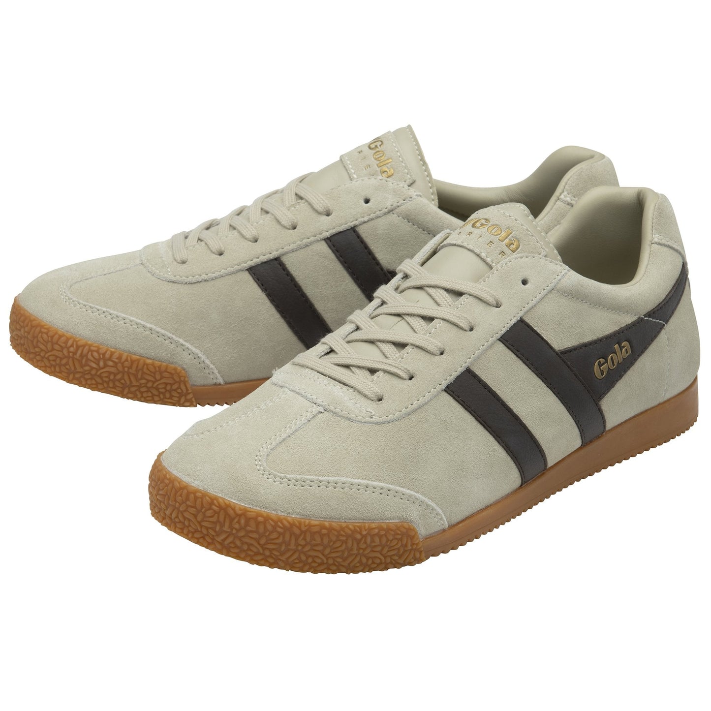 GOLA - Basket HARRIER - Daim - Wheat/Dark brown