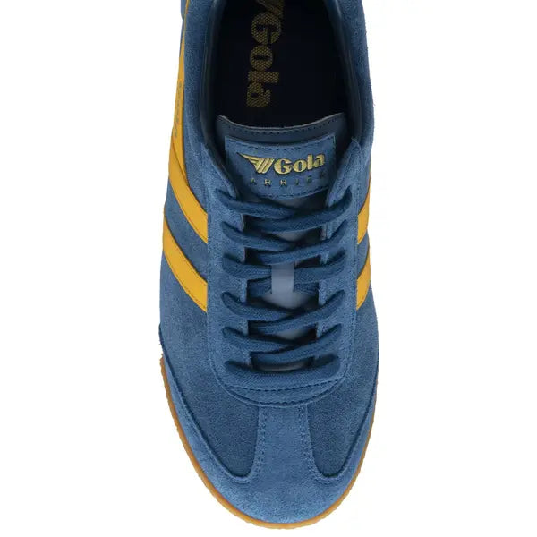GOLA - Basket HARRIER - Daim - Blue/Sun
